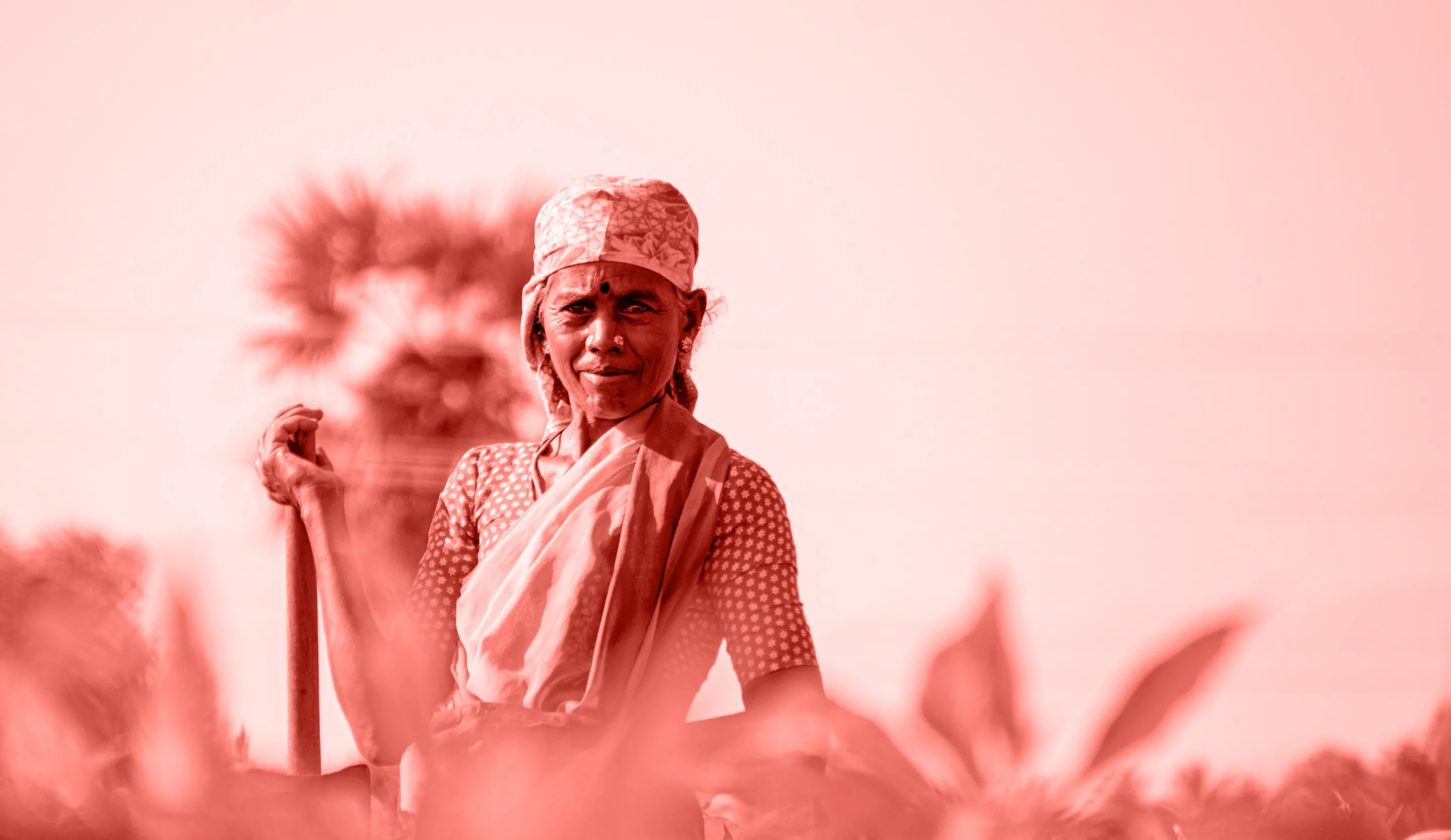 Photo a South Asian woman working in a field